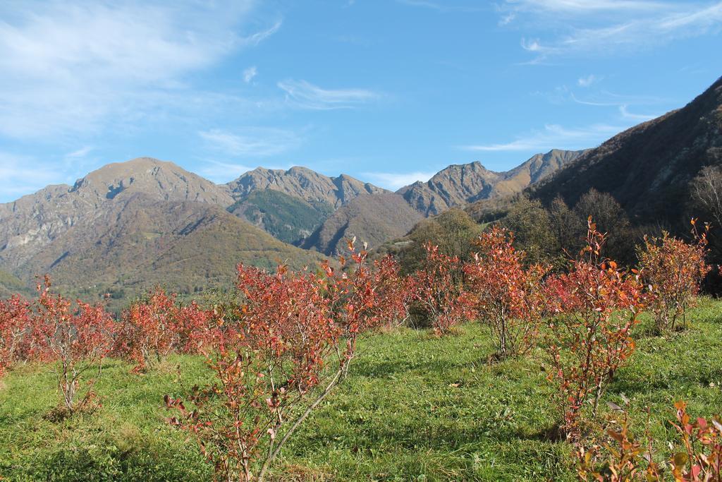 Agriturismo Il Mirtillo B,B Villa Pasturo Buitenkant foto