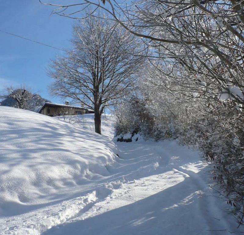 Agriturismo Il Mirtillo B,B Villa Pasturo Buitenkant foto